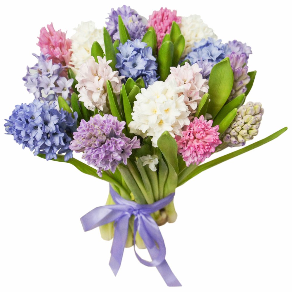 Mix-Bouquet of Hyacinths